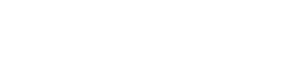 eExpert logo